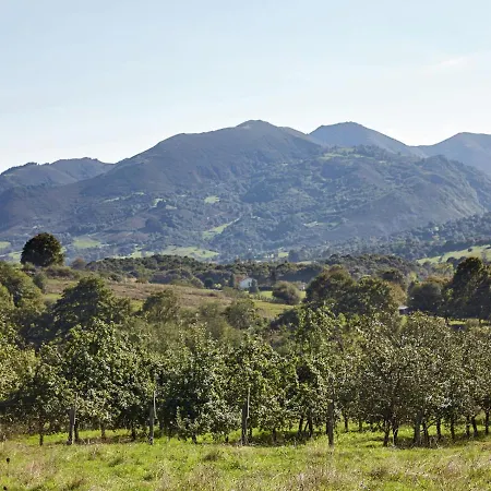 بيت للعطل Mansion With Pool & Terrace *