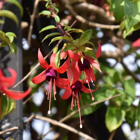 بيت للعطل Mansion With Pool & Terrace Nava